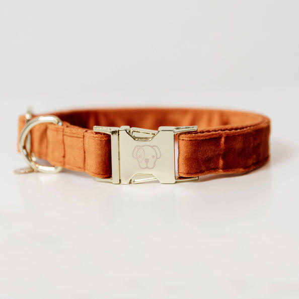 KENTUCKY HORSEWEAR Kentucky Hondenhalsband Velvet Oranjee
