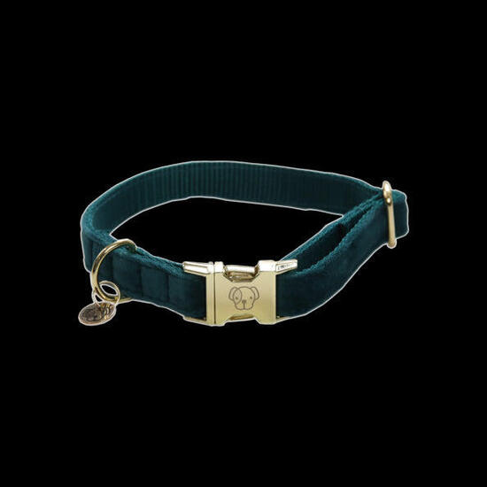 Collier pour chien Velvet - Kentucky