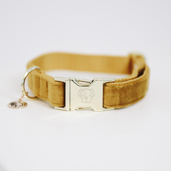 KENTUCKY HORSEWEAR Kentucky Hondenhalsband Velvet Mustard