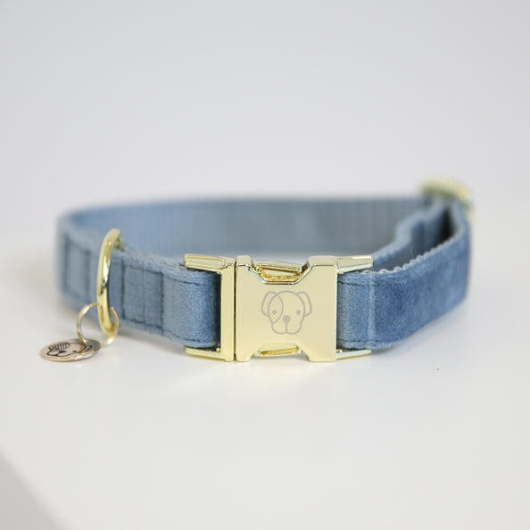 KENTUCKY HORSEWEAR Kentucky Hondenhalsband Velvet Blauw