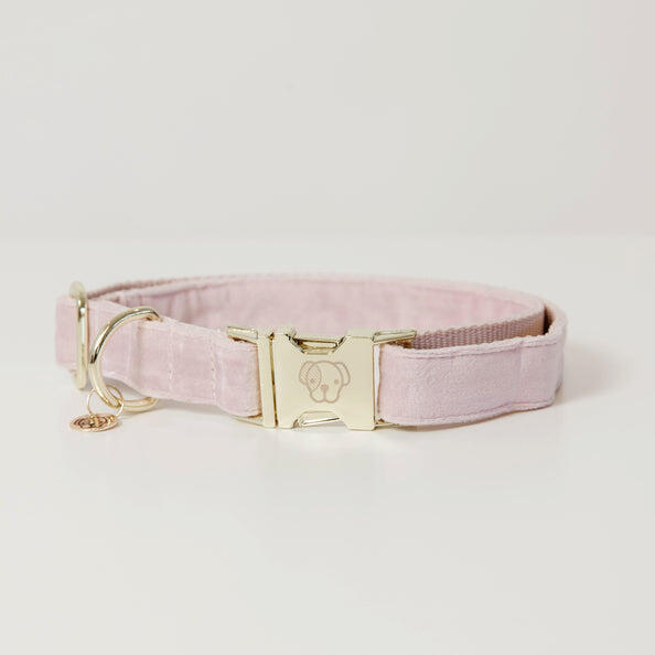 KENTUCKY HORSEWEAR Kentucky Hondenhalsband Velvet Blauw
