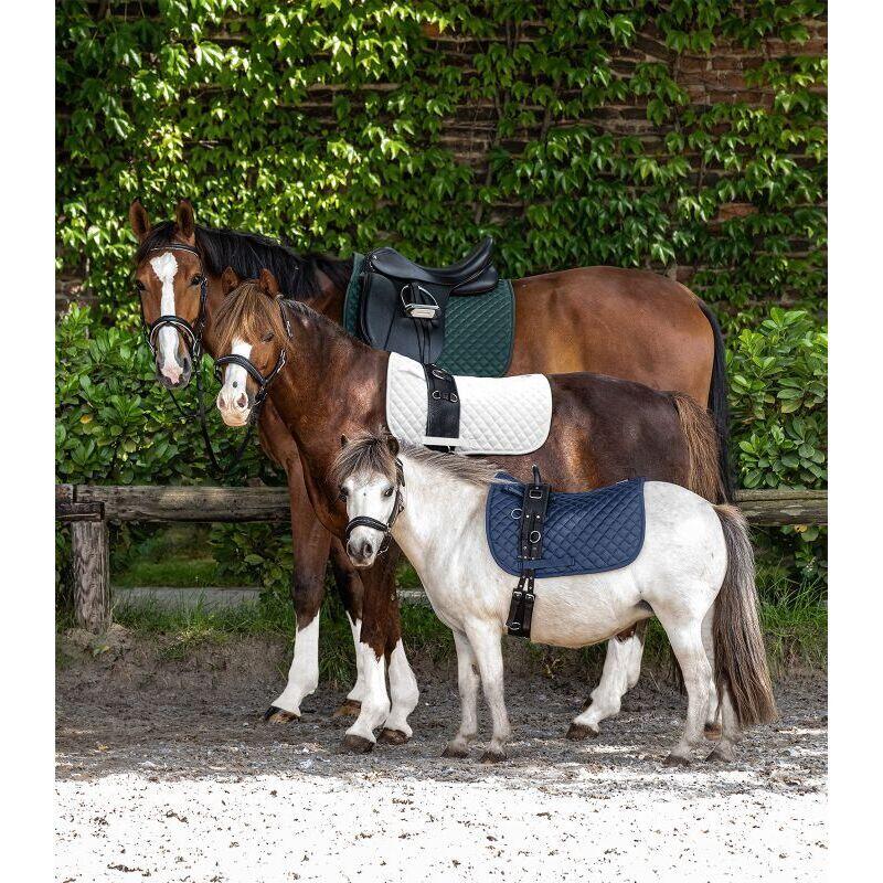 Tapis de CSO Waldhausen Felix