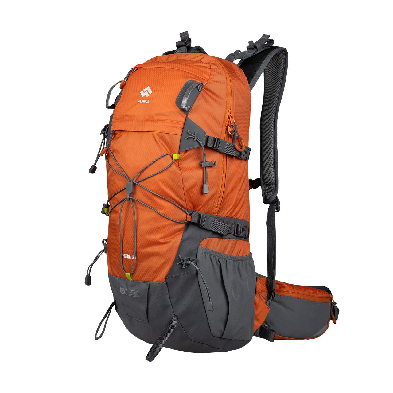 ALPINUS picture