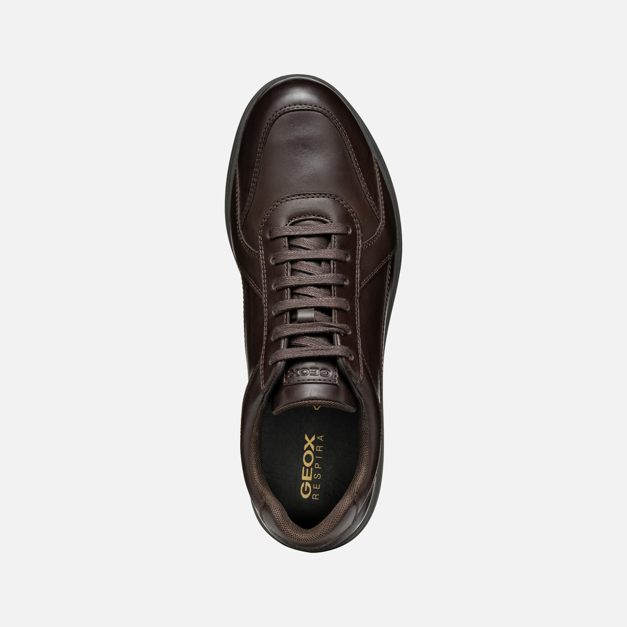 Baskets Geox Spherica 5/6