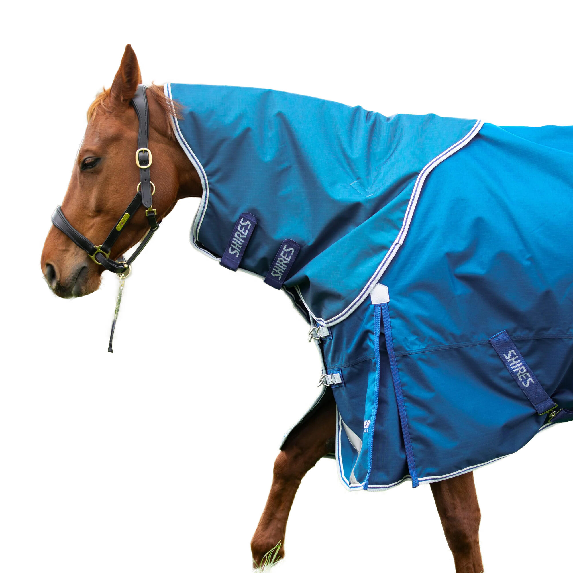 SHIRES Highlander Original 200 Horse Turnout Neck Cover (Blue)