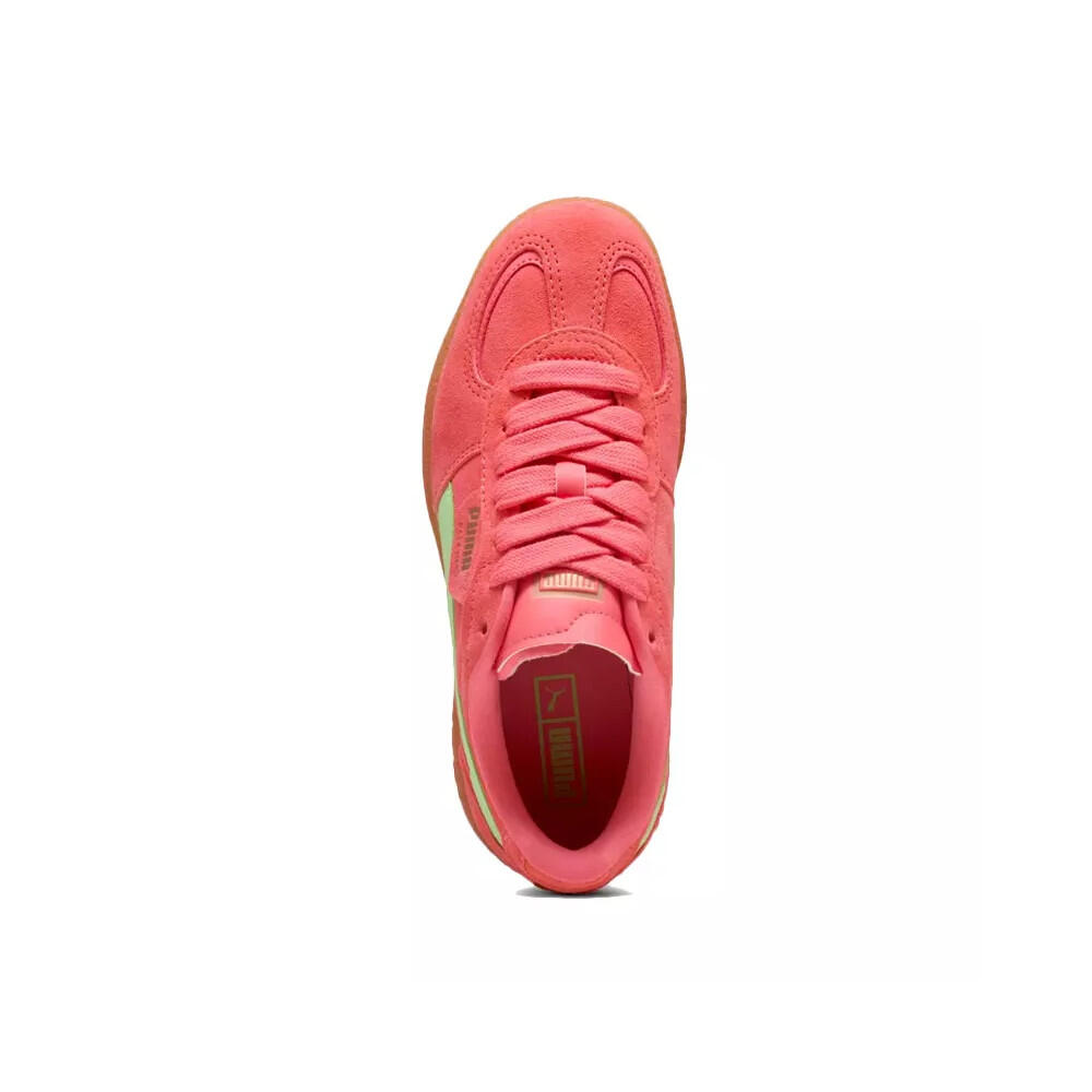 Basket Puma PALERMO MODA XTRA GUM 4/7
