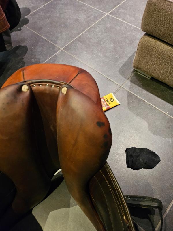 Entre Particuliers - Selle Antares Cadence 4/5