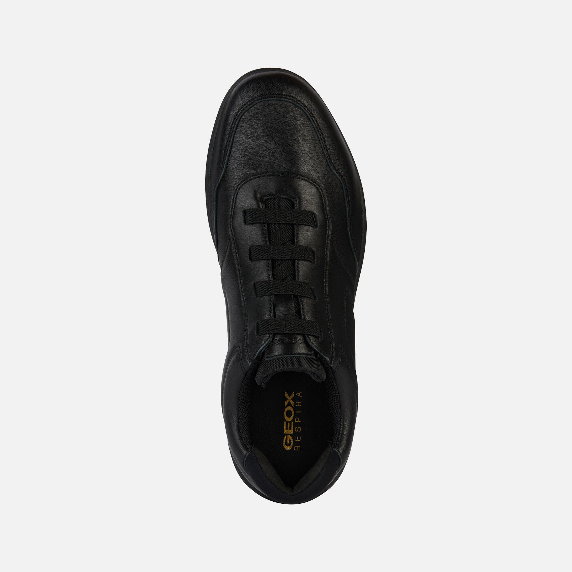 Baskets Geox Spherica 6/7