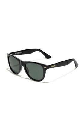 Occhiali Da Sole D.Franklin Roosevelt V Shiny