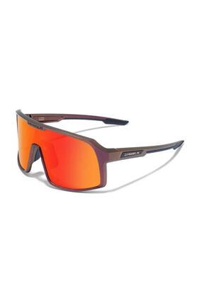 Occhiali da sole D.Franklin Wint Lmited