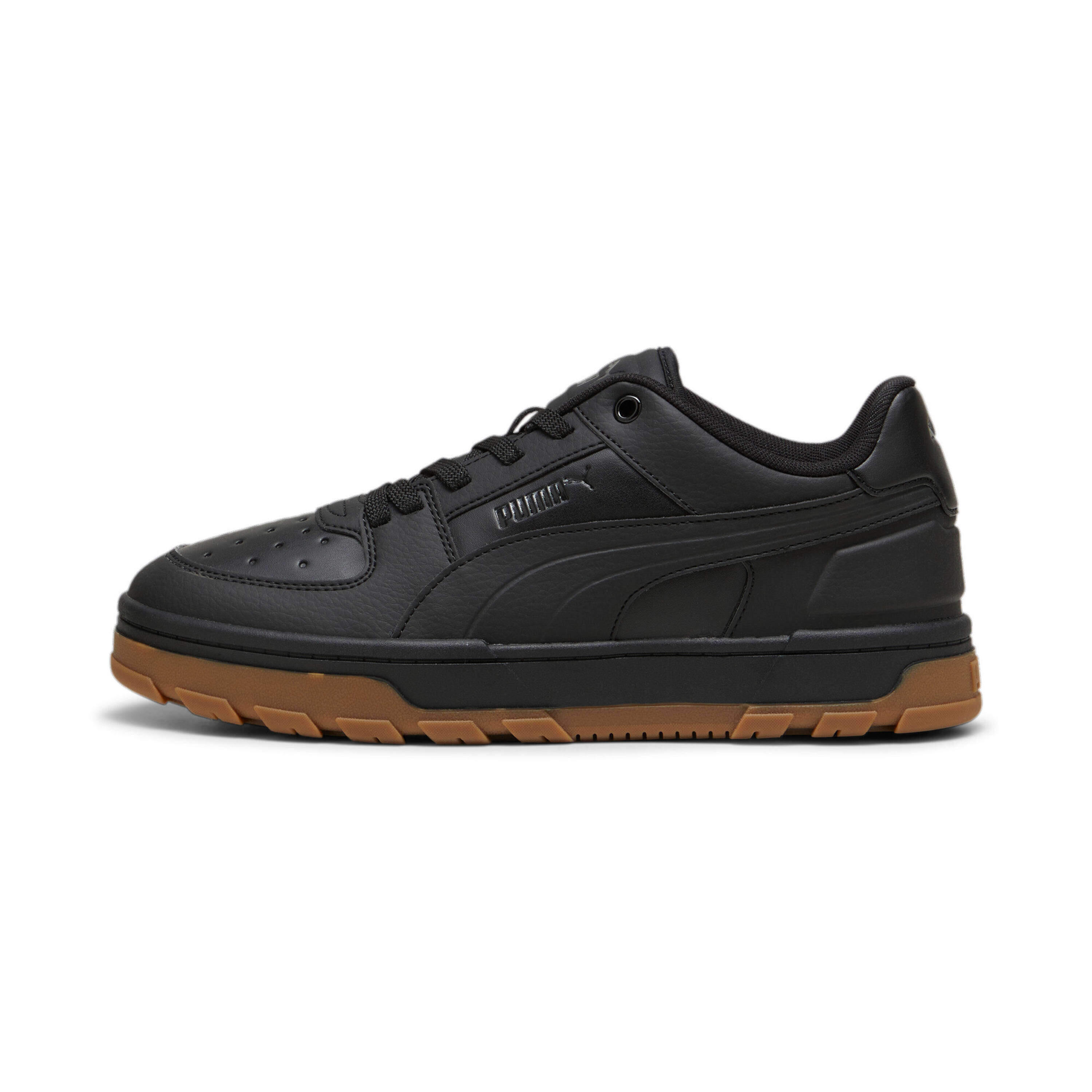 PUMA picture