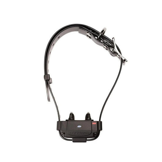 Collier anti-fugue pour chien Num'axes Canifugue FUG1034