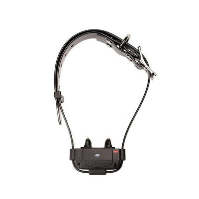 Anti-Wegwerf-Halsband für Hunde Num'axes Canifugue FUG1034
