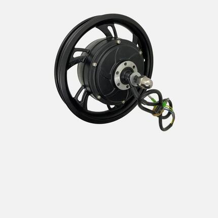 Roue arrière 12'' avec moteur Bike 120 V1