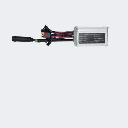 M1 BICYCLE Grundplatte