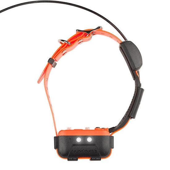 Collare di localizzazione Num'axes Canicom GPS 2