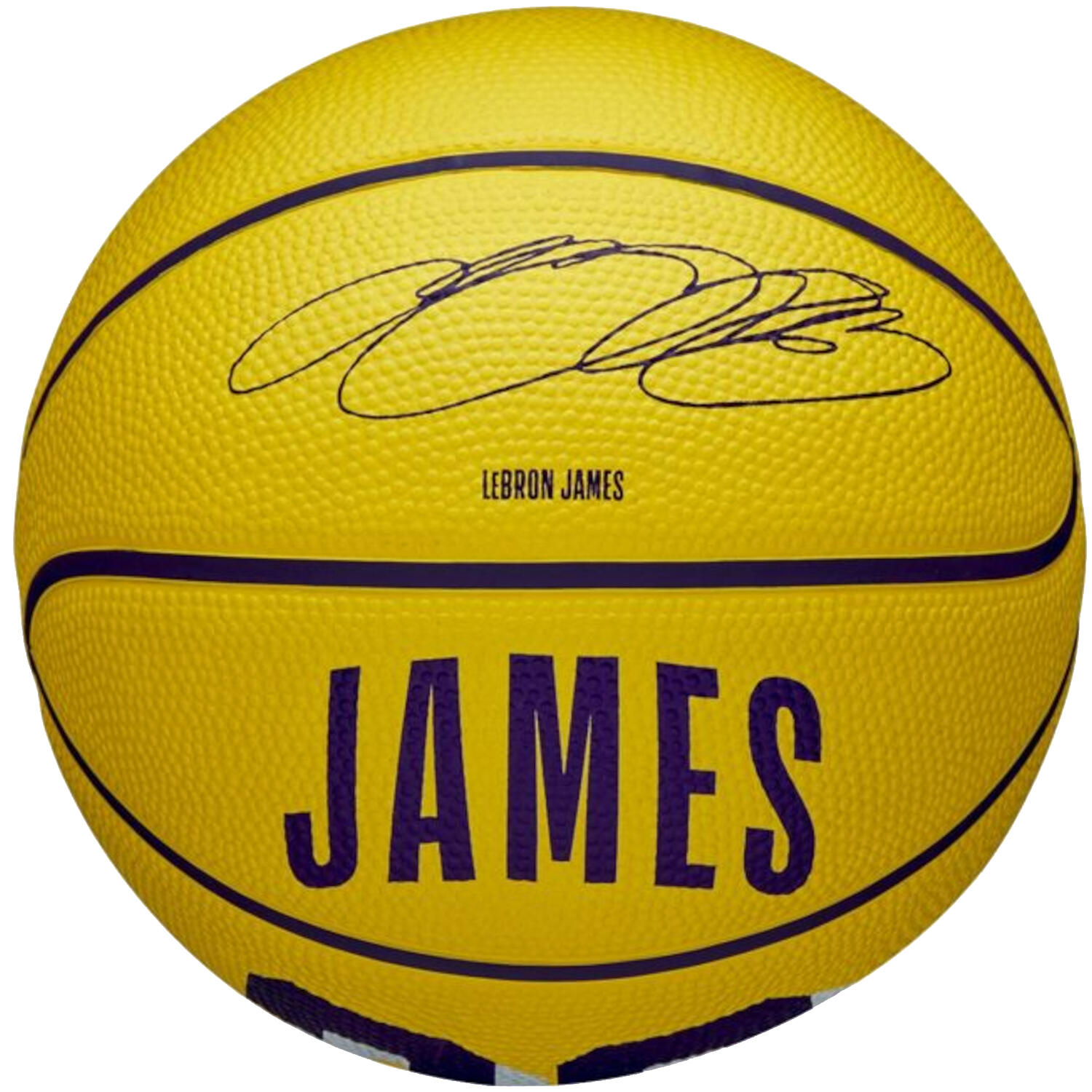WILSON Sportsbal Mini Wilson NBA Player Icon - Lebron