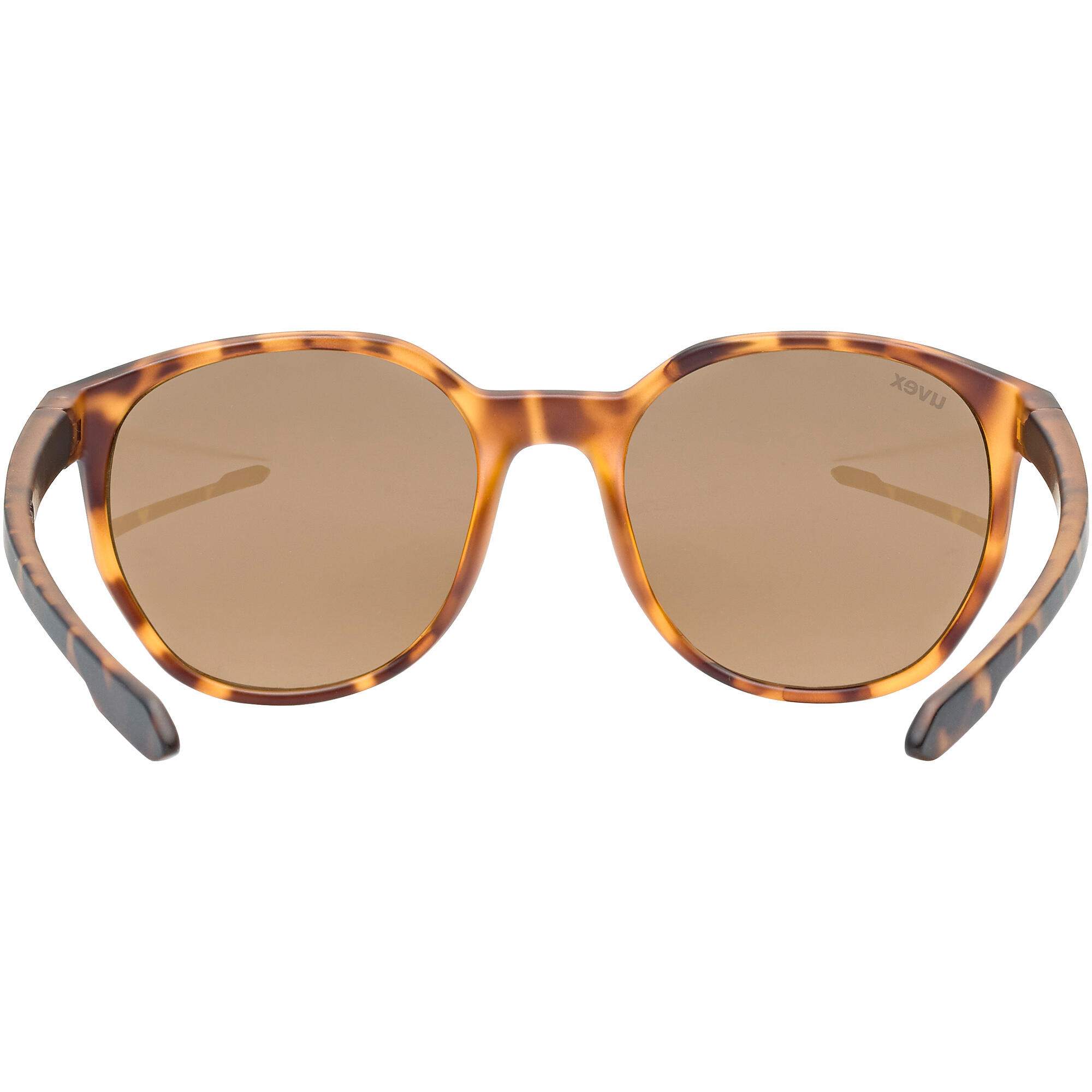 Okulary przeciwsłoneczne Lgl 54 - Havanna Matt - Mirror Silver 4/6