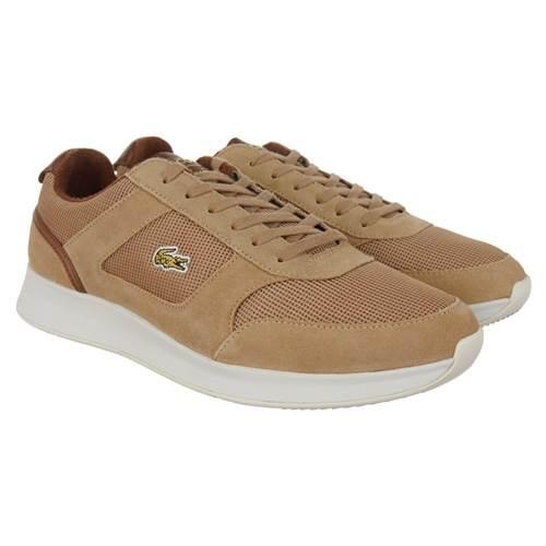 Chaussure universel hommes Lacoste Joggeur 4/5