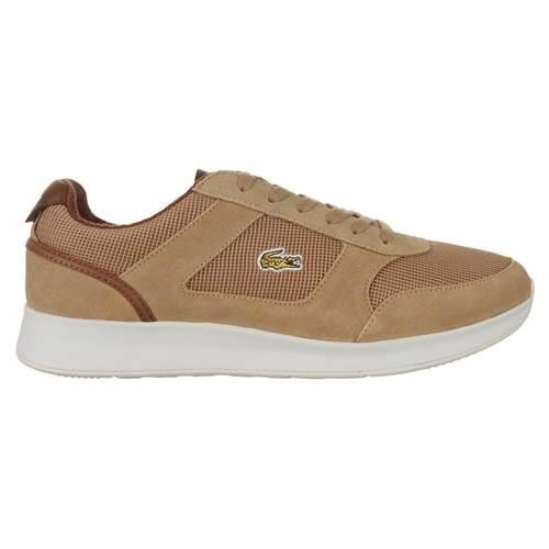 LACOSTE picture