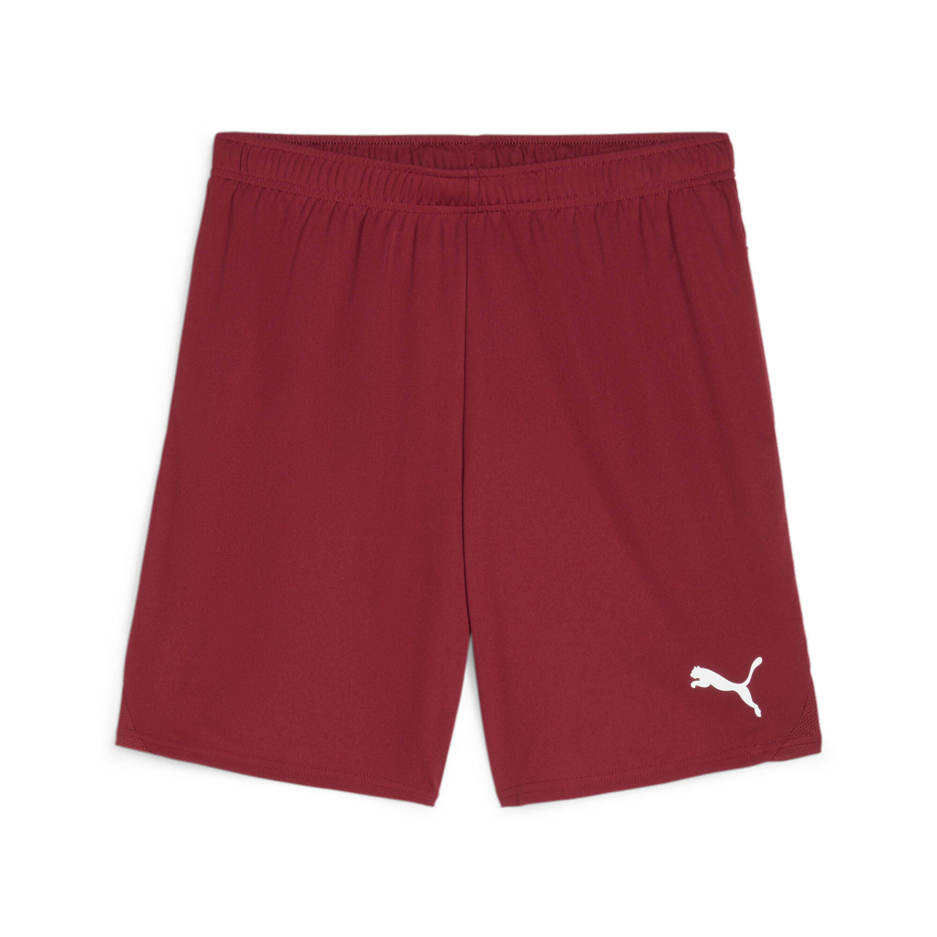PUMA Short Puma TeamGloal