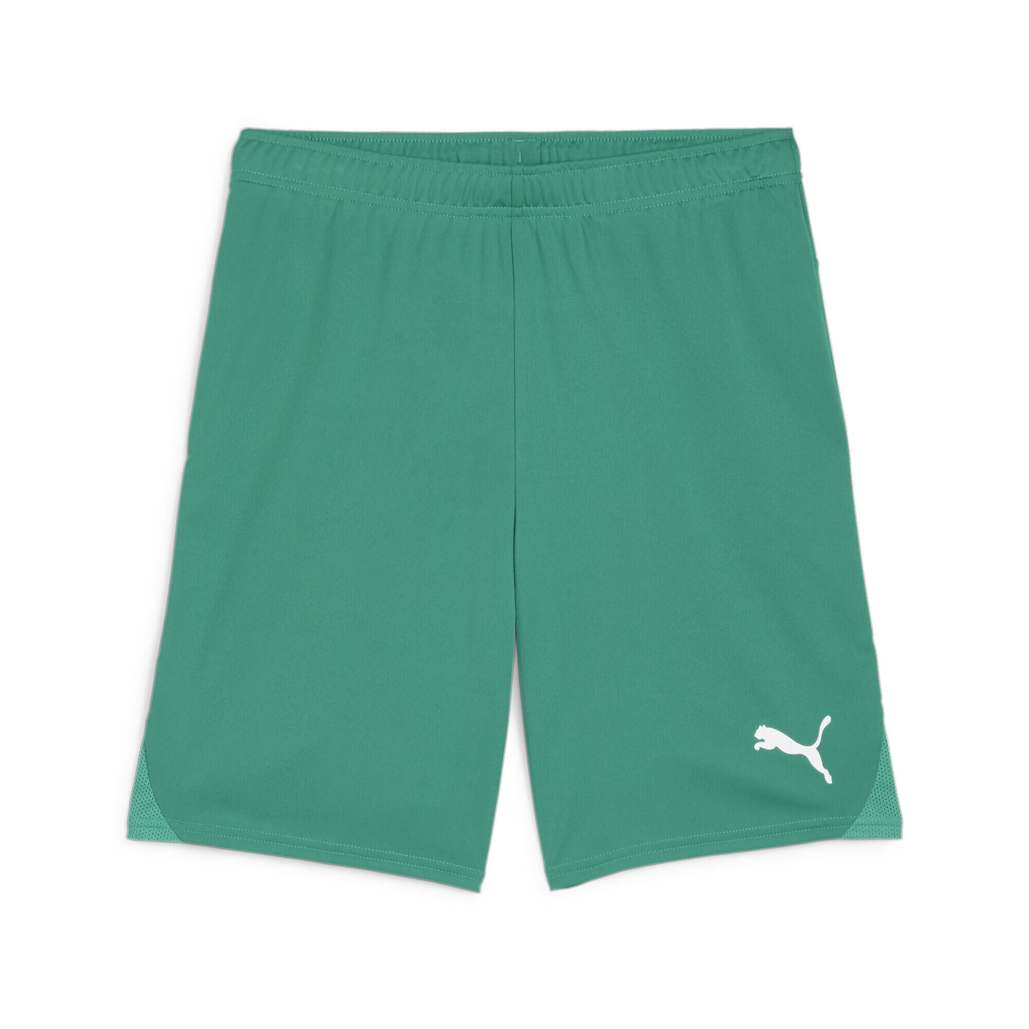 PUMA Short Puma TeamGoal