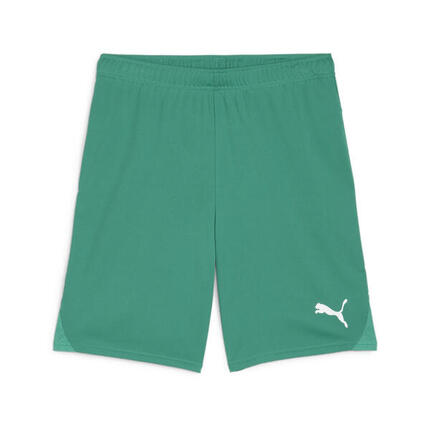 Short Puma TeamGloal