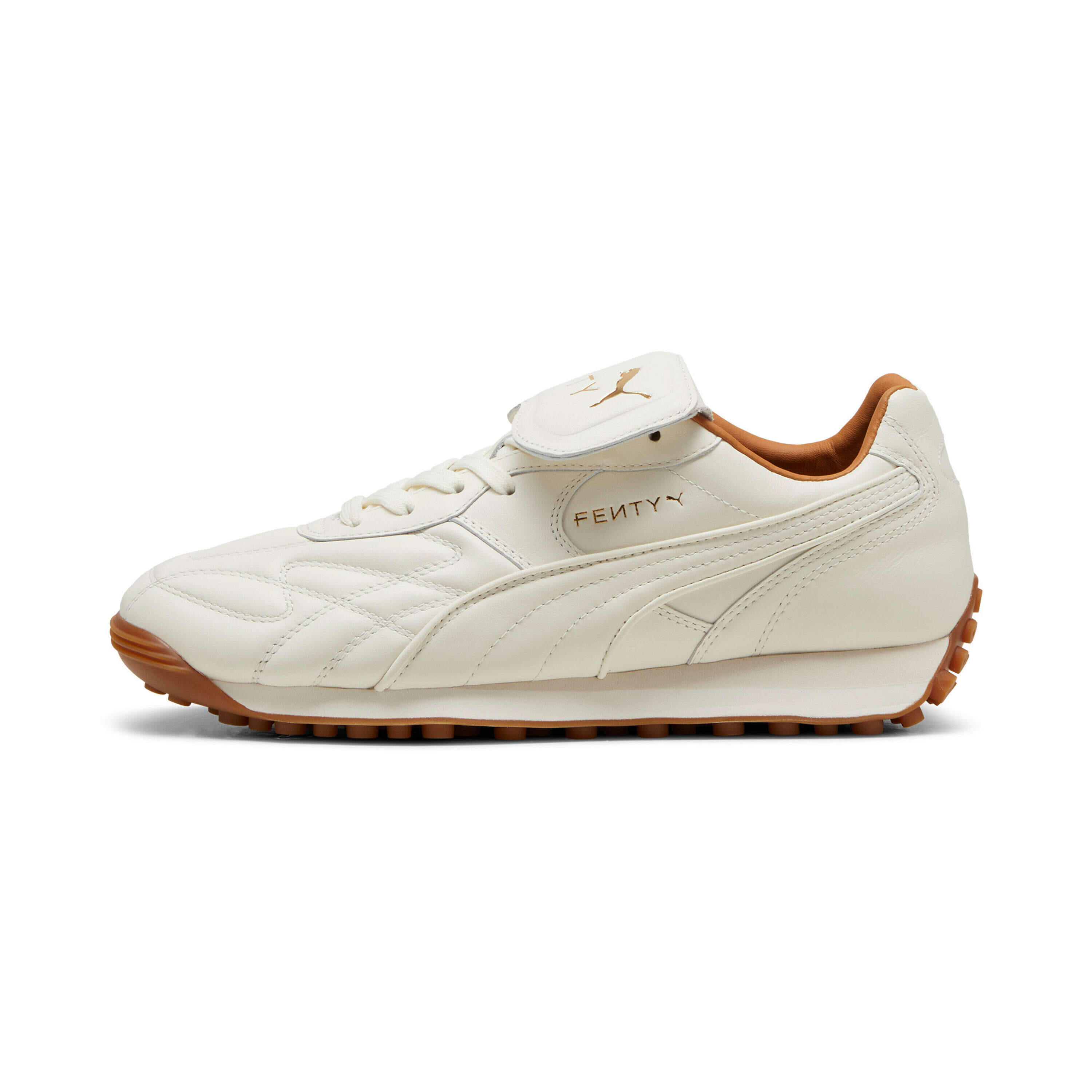 PUMA picture