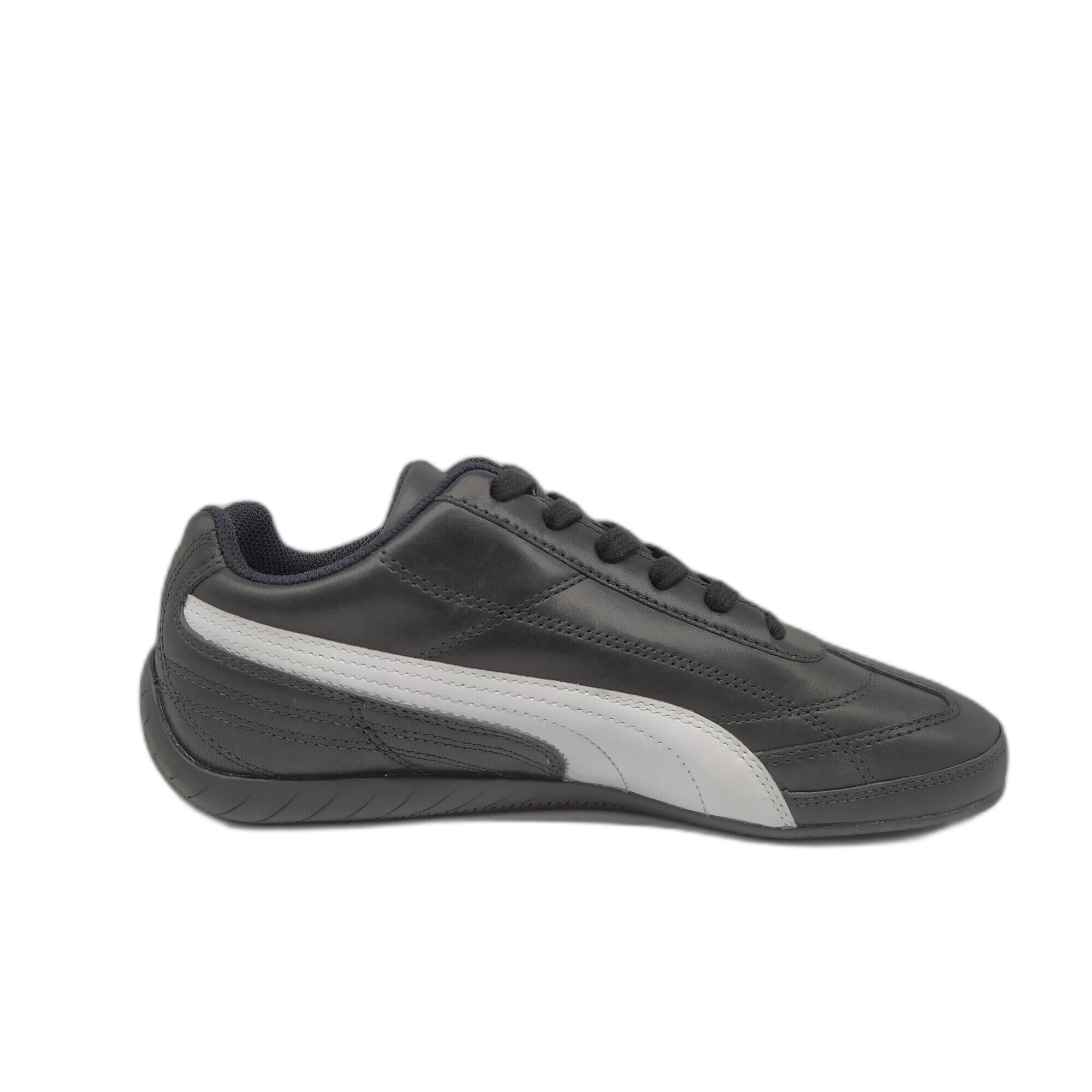 PUMA picture