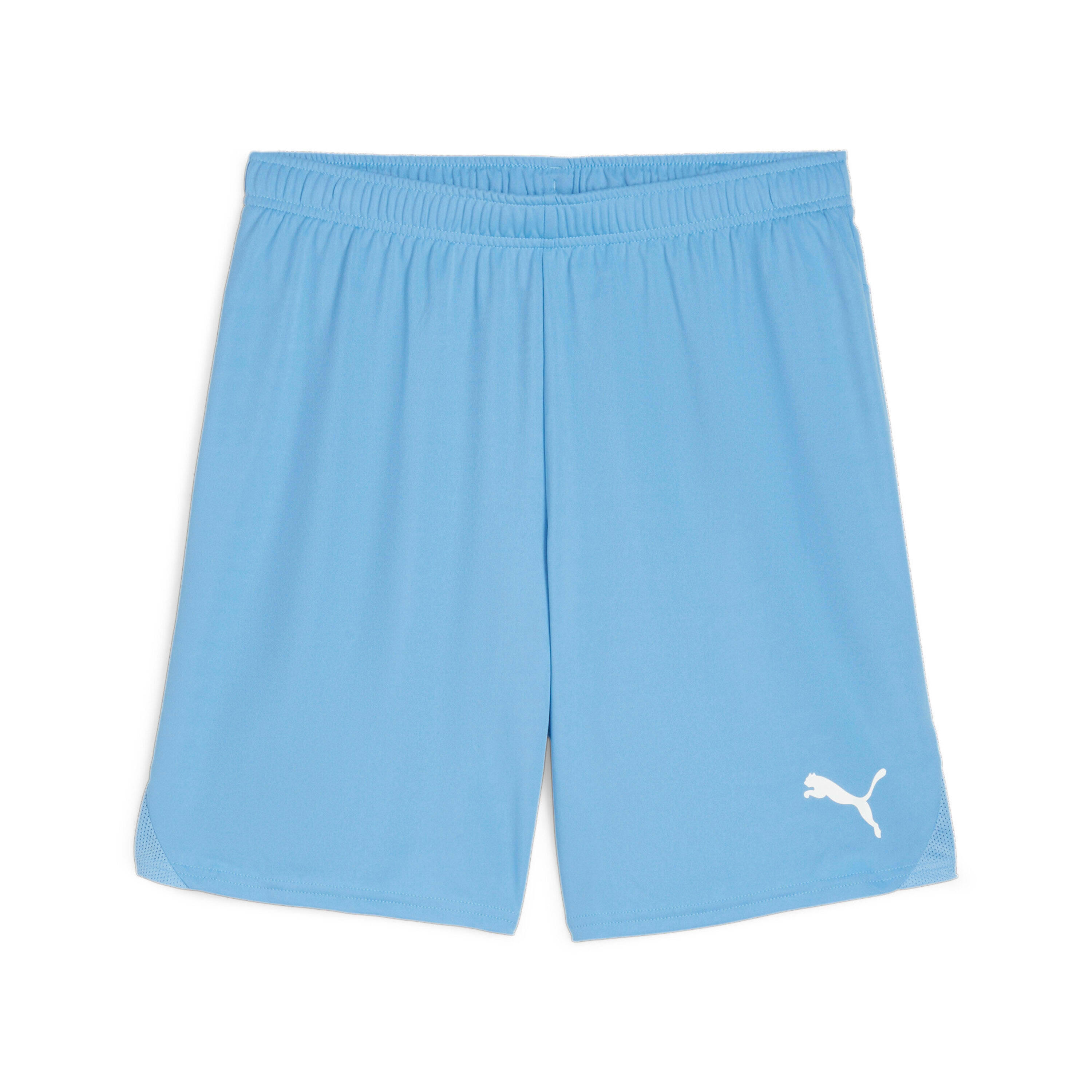PUMA Short Puma TeamGloal