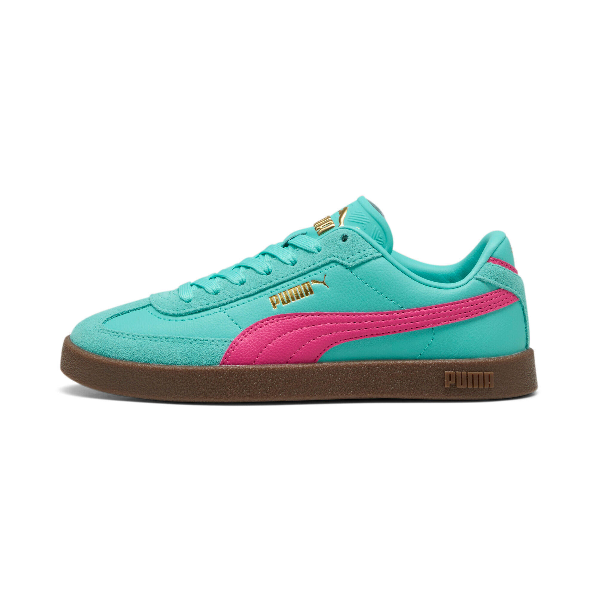 PUMA picture