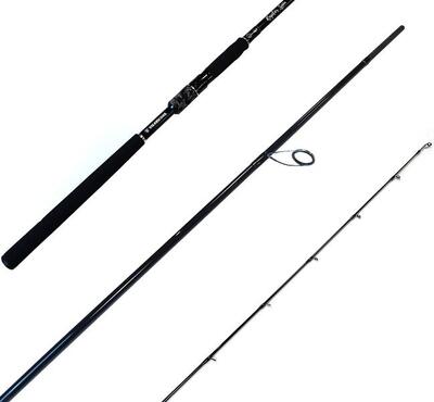 Canne da pesca con esca RAPTOR 92 H Filatura