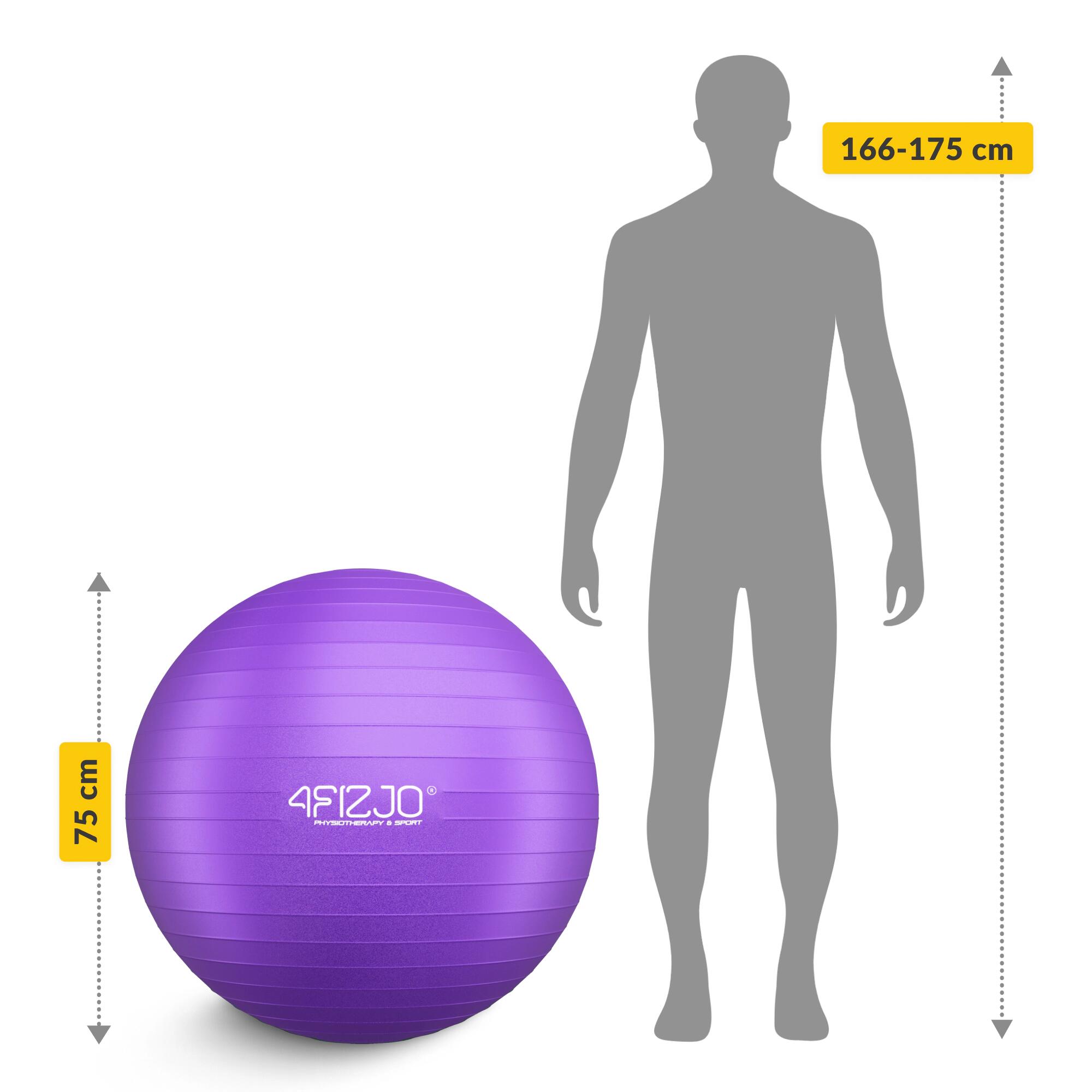 Palla ginnica fitness riabilitativa anti-burst postura 4FIZJO Reh Ball 3/7