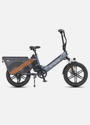 Engwe le20 elektrische fiets