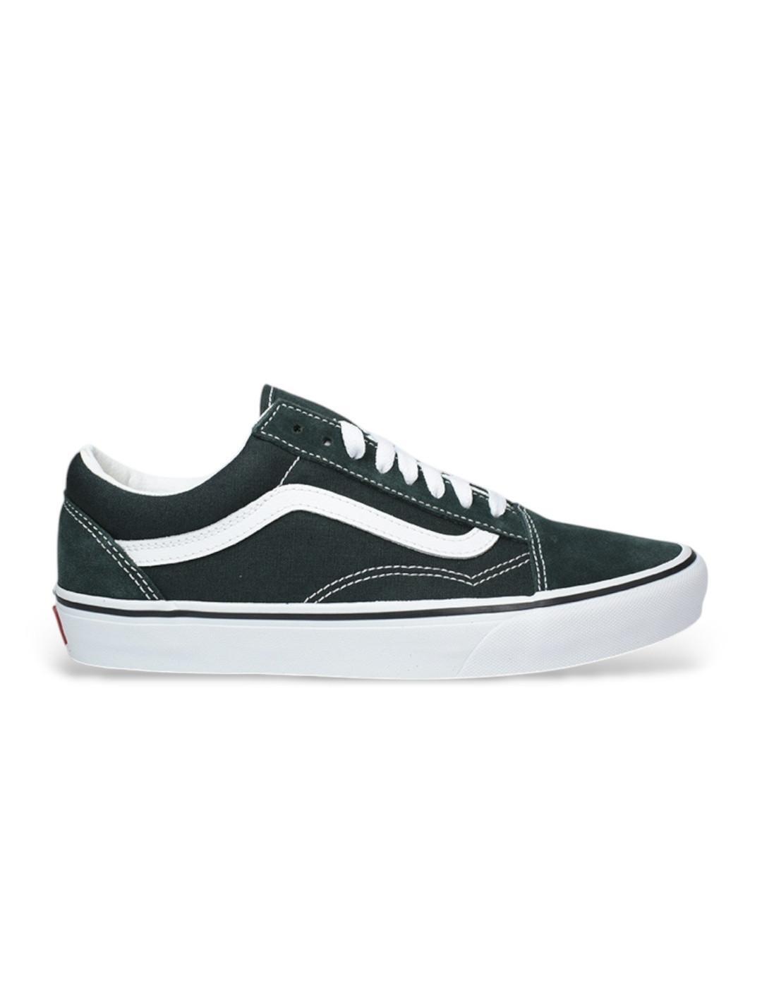VANS picture