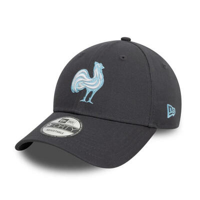 Frankrijk rugby new era seasonal 9forty pet grijs