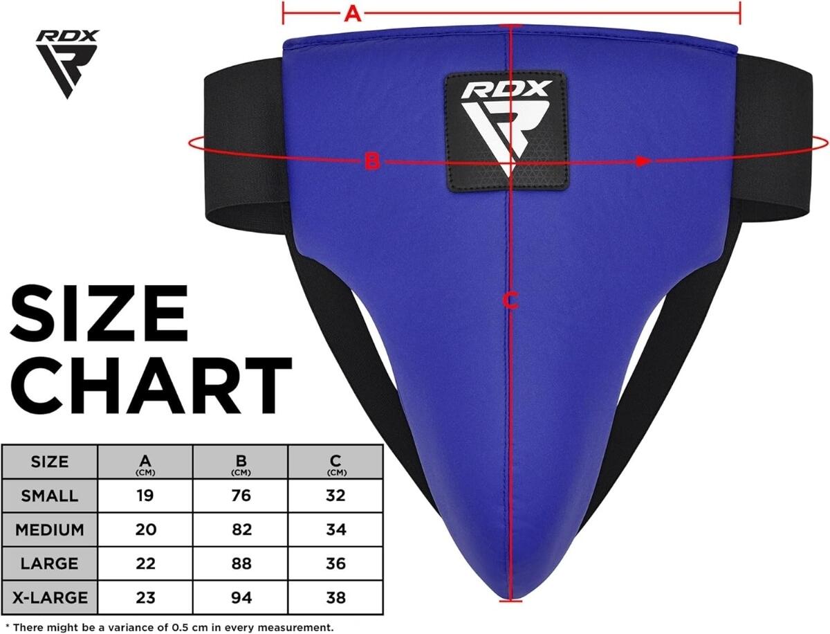 Coquille Rex R1 6/6