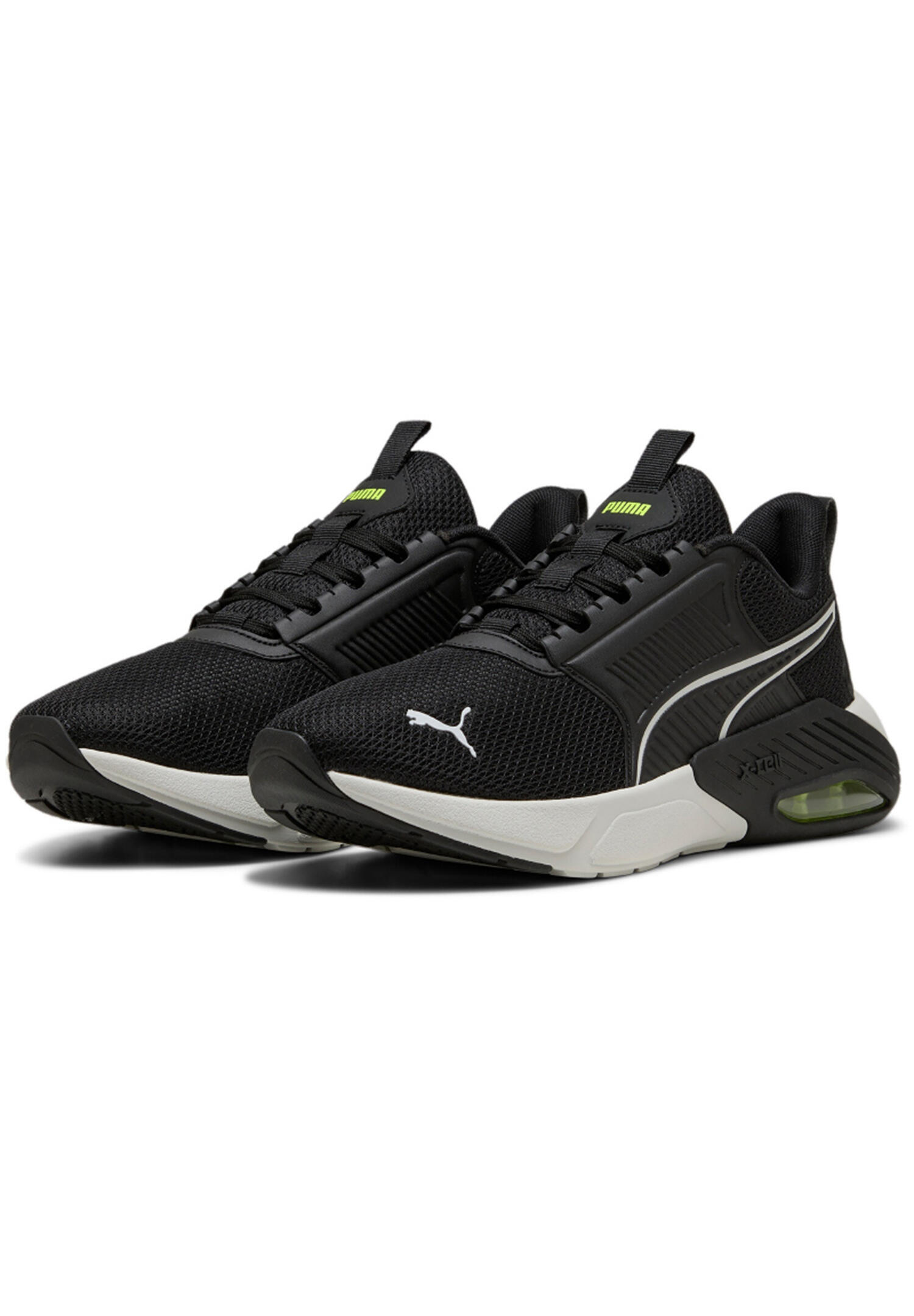 PUMA picture