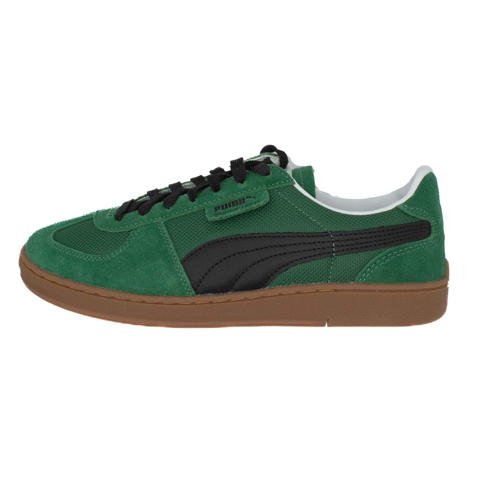 PUMA picture