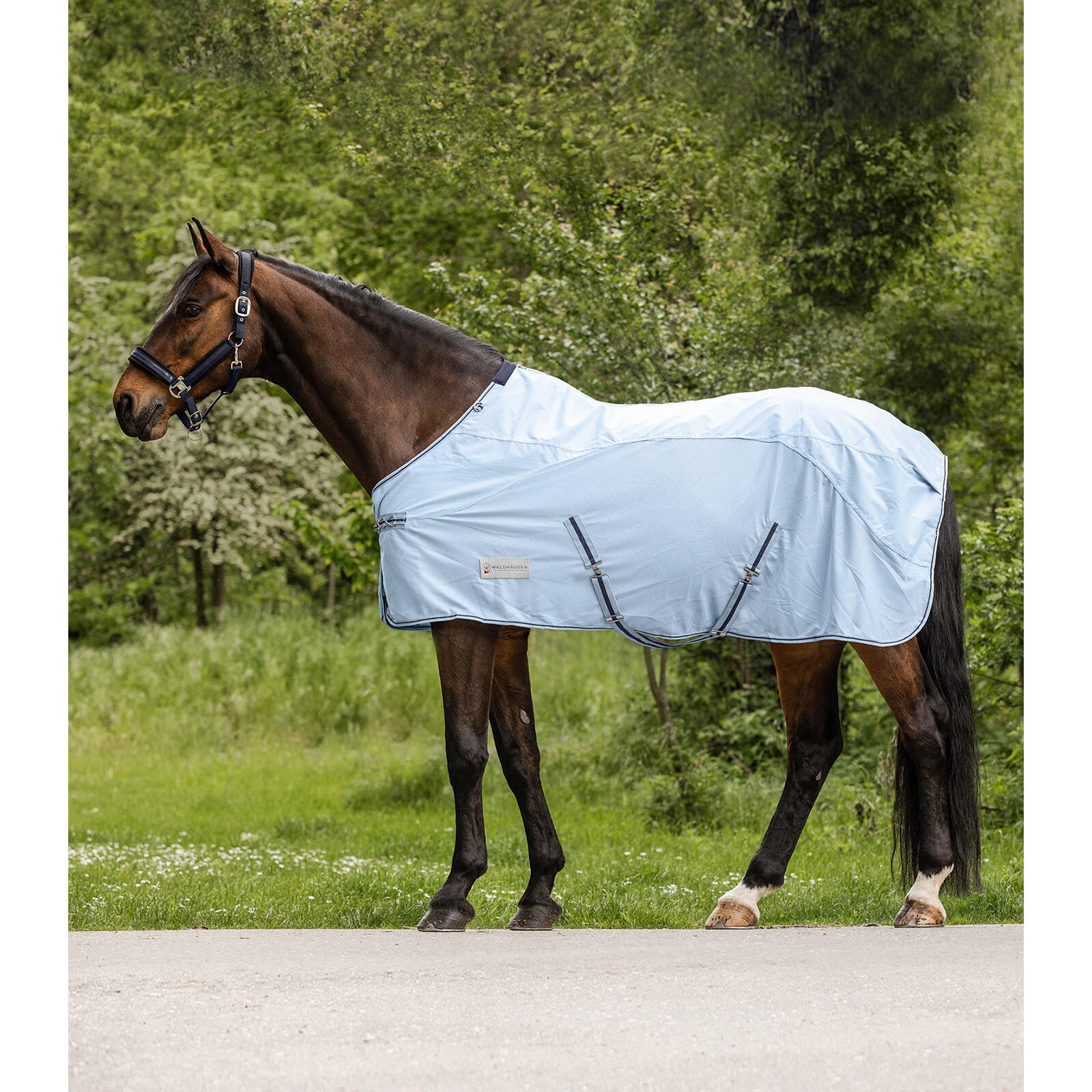 Waldhausen - Couverture Anti-mouches Pour Cheval Waldhausen Protect 0g - Couverture Cheval - Bleu - 135 Cm - Decathlon