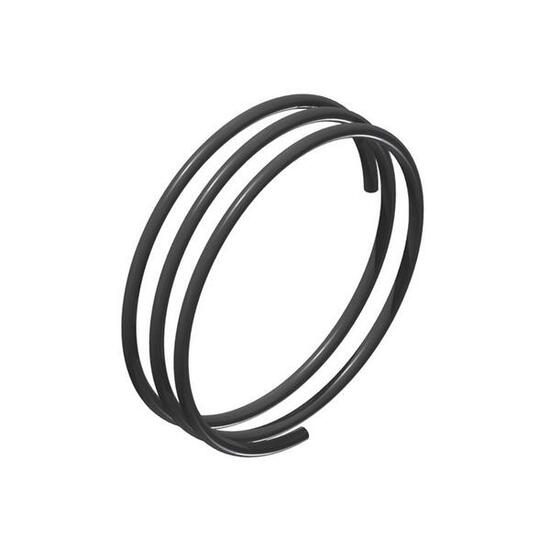 DT SWISS Ressort de rechange pour moyeu Ratchet EXP Hxdxxx00N5645S