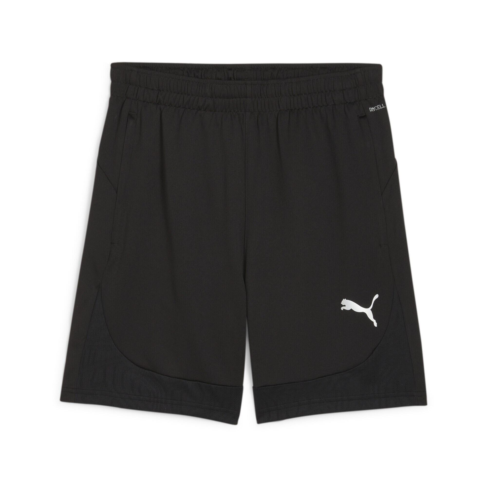 PUMA picture