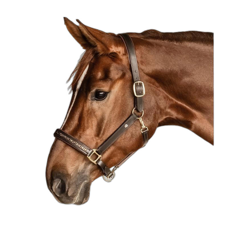 Leren halster voor pony Waldhausen Crystal 2/4