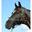 Cheval De Bride - Equitation - Mixte -  - Gris -