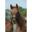 Cheval De Bride - Equitation - Mixte -  - Noir -