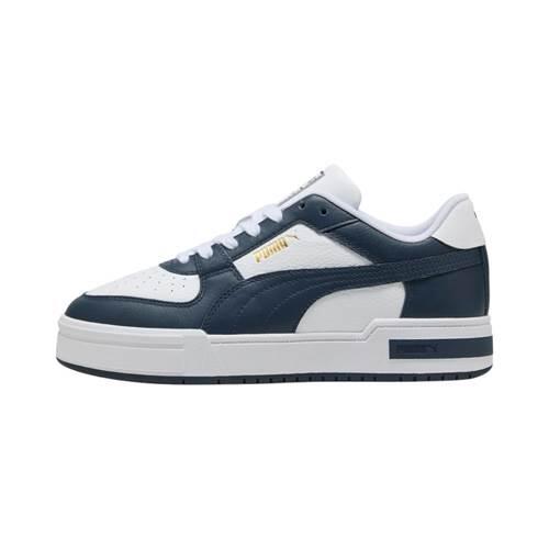 PUMA picture