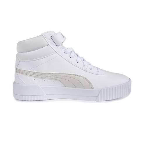 PUMA picture