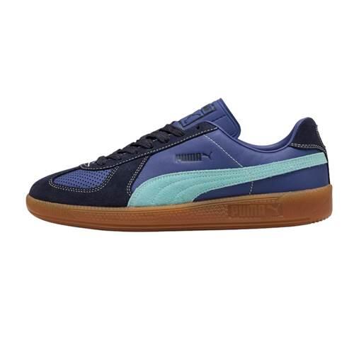 PUMA picture