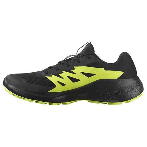 Buty do biegania męskie Salomon Alphaglide Gtx 3/5