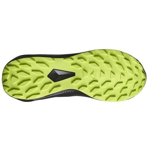 Buty do biegania męskie Salomon Alphaglide Gtx 5/5